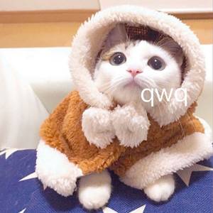 免费国产三级片
